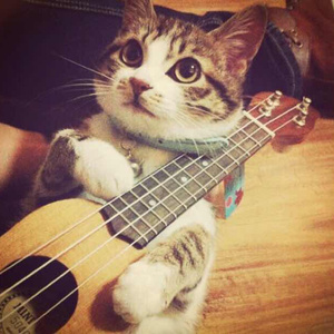 日本免费色情视频
